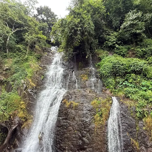 A waterfall pouring over dark rock through dense forest in the Western Ghats