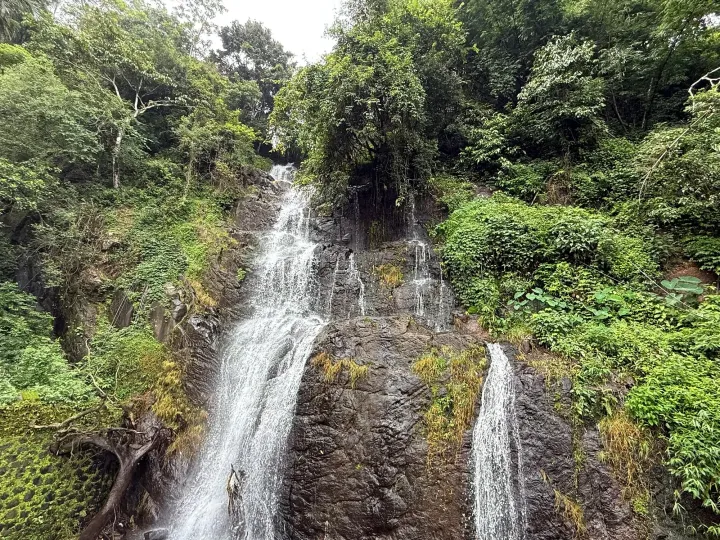 A waterfall pouring over dark rock through dense forest in the Western Ghats