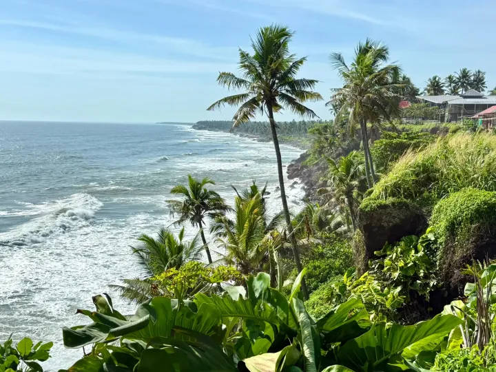 Coconut palms on the cliffs above the Arabian Sea at Varkala